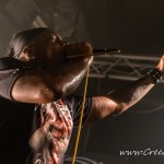 143 134 Tortharry Derrick Green